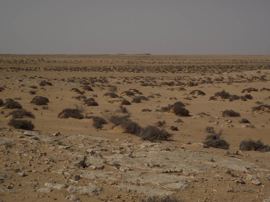 DEIR EL MURRA BIR EL ABD - DEIR EL BEIDA La via piu facile per arrivare a Deir El Murra (la conca amara) partendo da El Alamein e certamente quella che scende Nord Sud attraverso il Tell El Eis e poi