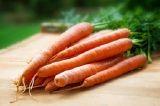 Le carote sono la verdura biologica svizzera più importante Le carote sono di gran lunga la verdura biologica svizzera più importante.