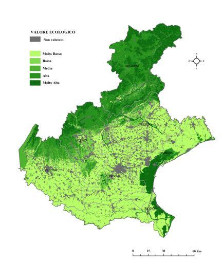 Aree di elevato pregio ambientale Fornitura di servizi ecosistemici Soprattutto zone costiere, assi fluviali, collina e montagna = l area più colpita dall uragano Vaia Solo il 20% della Rete Natura