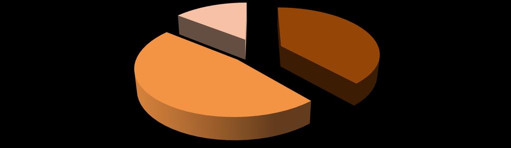 GESTIONE DEGLI RU ESPORTATI (2017) 14% 39% 47% Recupero di energia Recupero di materia Smaltimento Rifiuti avviati al recupero di materia (167 mila t) costituiti principalmente da: 54 mila t Rifiuti