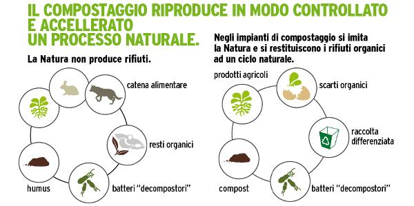 Compostaggio Il recupero della frazione organica dei