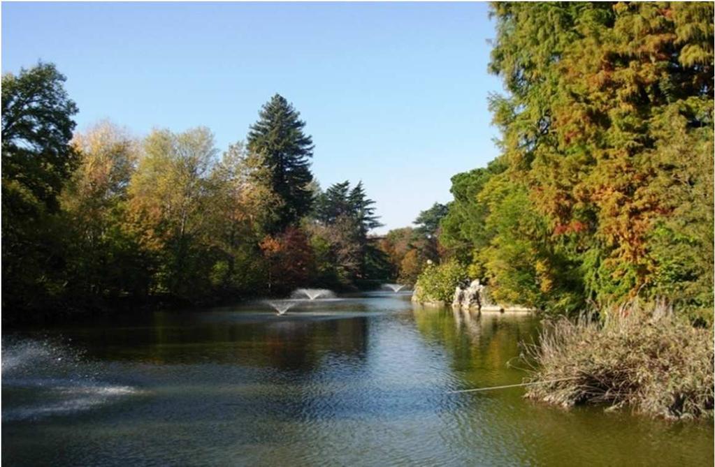 Irrigazione con acqua non potabile dei Giardini Margherita I consumi Fabbisogno del parco di acqua: 42.000 m 3 Bacino di stoccaggio e laghetto: 11.