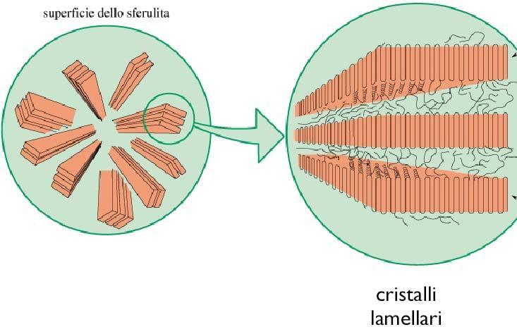 CARATTERISTICHE