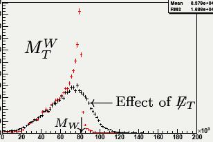 9 Metodo di misura ( ) W l M = 2p p ν 1 cosδϕ T T T p ν = p + u precisione nella simulazione: effetti strumentali