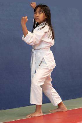 Il Karate propone all Allievo un percorso di benessere psico-fisico che può accompagnarlo in ogni fase della sua vita, e che può essere assunto quale costume culturale permanente per uno sviluppo