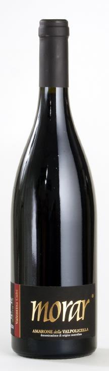 I Vini Noi produciamo i tipici vini di Valpolicella solo con le uve dei nostri vigneti di proprietà, con attenzione alla qualità totale, dalla vigna alla bottiglia.