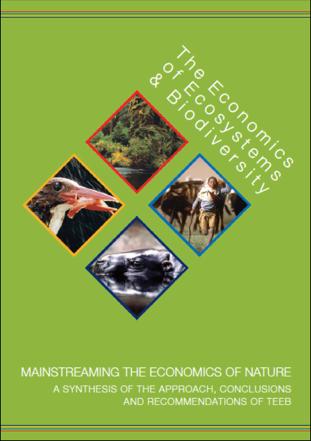 Modelli di gestione forestale: una prospettiva storica di massima Teoria della scia (Kielwasser Theorie, Rupf 1960) = massimizzando la produzione di legname si massimizzerà anche la produzione