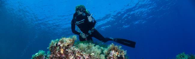 * * oppure Aware Fish Identification ECO-FRIENDLY DIVE WEEK EUR