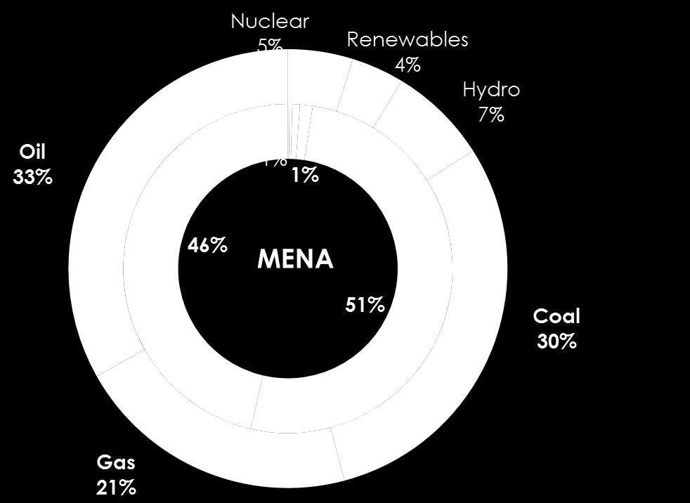 totale di energia primaria rispettivamente per il 46% e il 51%.