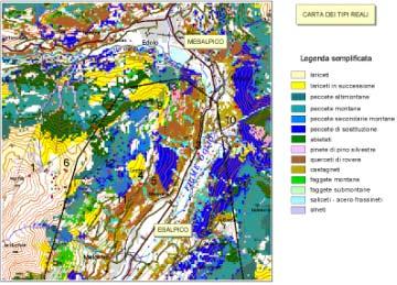 CATEGORIA FORESTALE Abieteti Aceri-frassineti ed aceri-tiglieti Alneti Arbusteti Betuleti e corileti Castagneti Faggete Formazioni antropogene Formazioni particolari Lariceti,