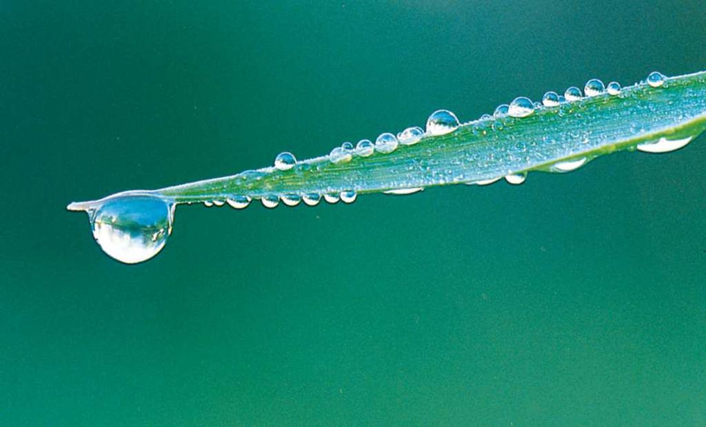 Ogni liquido le cui molecole si attraggono fortemente ha un alta tensione superficiale; un esempio è l acqua.