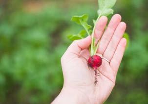 Ciò richiede, inoltre, di coinvolgere i consumatori in iniziative di sensibilizzazione al consumo attraverso stili di vita sostenibili, offrendo loro adeguate informazioni su standard ed etichette, e