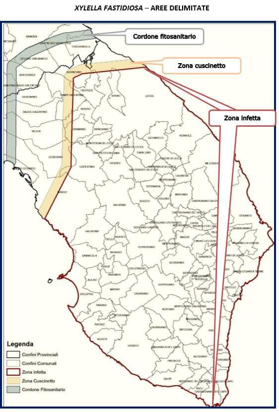 individuare un cordone fitosanitario a Nord della zona cuscinetto e ad opportuna distanza dalla stessa, con larghezza di circa 2 Km, che taglia trasversalmente la penisola salentina dall Adriatico