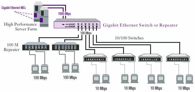 IEEE 802.3z Collegamento server 3.