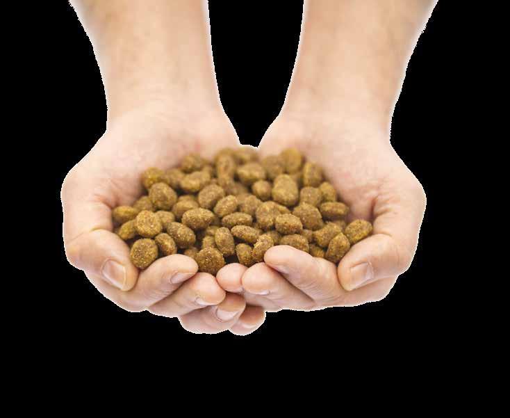 www.neconpetfood.com Primarily, we - at Necon - chose to avoid using non-nutritional or non-functional ingredients: our products contain neither food colours nor chemical appetisers.