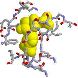 Utilità della Biocristallografia Le strutture 3D di macromolecole consentono di capire i processi biologici e di eseguire studi funzionali a livello di risoluzione atomica