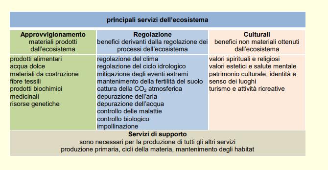 Capitale naturale e Servizi ecosistemici CAPITALE NATURALE Il Capitale Naturale comprende i beni naturali della Terra (il suolo, l aria, l acqua, la flora e la fauna)