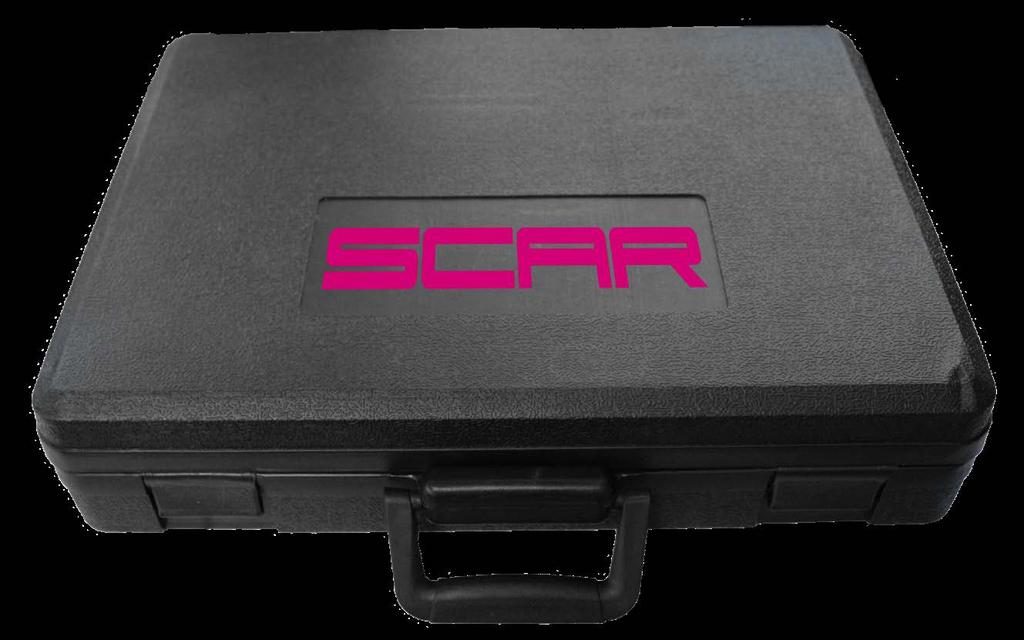 Scar 696809.