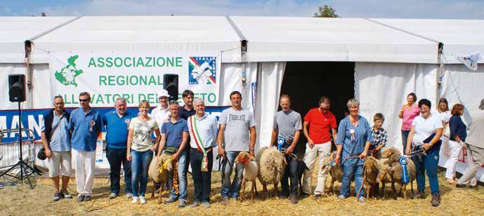 Premiazione degli allevatori di razza Brogna con l ass. regionale De Berti all antica fiera del bestiame di Erbezzo (Foto G. Menegazzi).