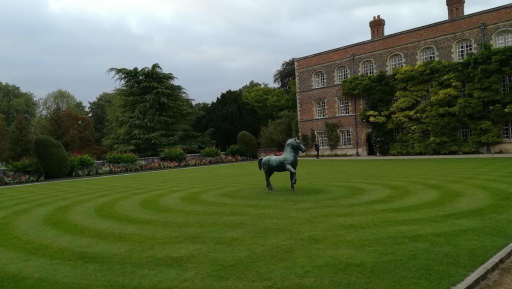 Inoltre gli studenti sono guidati nella visita della capitale inglese: Londra.