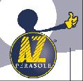 A.Z. PERASOLE SRL Soluzioni a portata di mano Strada Consortile ASI km 0.70 81032 CARINARO CE Sede di Napoli : Via Casoria 42 80144 NAPOLI NA Tel.