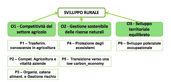 LA POLITICA DI SVILUPPO