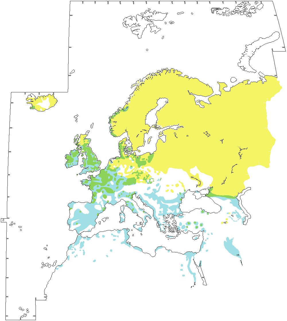 ALZAVOLA Anas crecca Distribuzione nel Paleartico occidentale Areale di svernamento Areale di