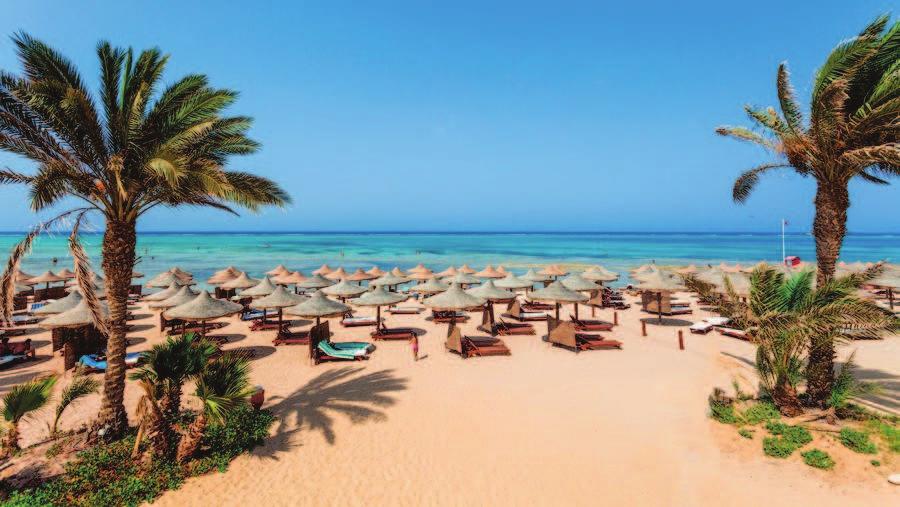 Club Blue Lagoon 4**** Il Reef incontaminato e le spiagge deserte rendono Marsa Alam la località ideale per gli appassionati di diving e snorkeling, ma anche per chi vuole vivere la vacanza in totale