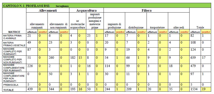 Rapporto