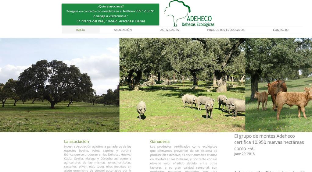 Buona pratica ADEHECO Asociación de Dehesas Ecológicas Gruppo di certificazione di proprietari private Attivo dal 2006: 425 associati,120 000 ettari, provincie di Huelva, Sevilla, Cádiz, Córdoba y