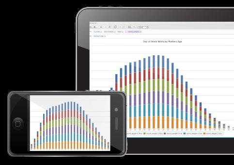 MOBILE Il sistema dispone di un'apposito interfaccia mobile che consente l accesso immediato ed obliquo alle informazioni aziendali.