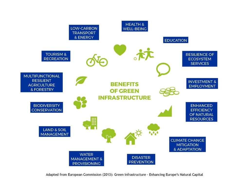 connettività tra aree naturali esistenti, migliorando la permeabilità del paesaggio; Adattamento agli effetti