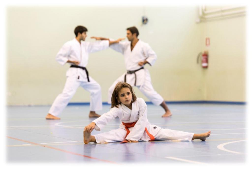 I l team è affiliato alla FIKTA, la più importante federazione italiana di karate tradizionale, diretta dal Maestro Hiroshi Shirai, 10 dan, portatore del Karate