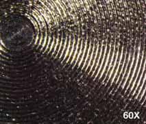 Immagine di una porzione di superficie UTM ottenuta tramite microscopio confocale: è apprezzabile la