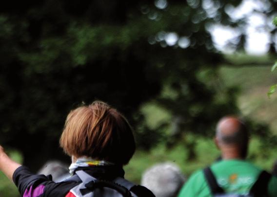 aperto sicuri dove poter fare attività