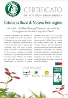 Grazie a LifeGate Energy le aziende possono contare su: Un servizio di qualità nessun call center ma un account commerciale dedicato account amministrativo a