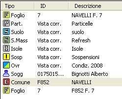 Una volta confermato l inserimento, i nuovi strati