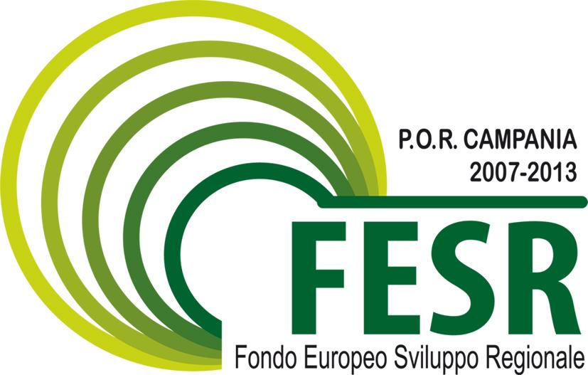 Programma Operativo Regionale 2007 IT161PO009 FESR Campania CON L EUROPA, INVESTIAMO NEL VOSTRO FUTURO M.I.U.R. Di