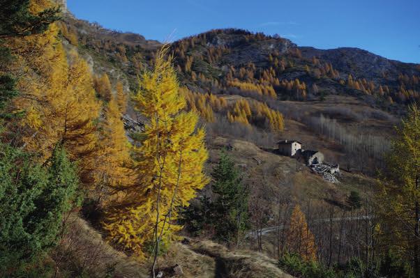 nel comune di Prazzo, immerso nel verde in prossimità del bivio per il vallone di Elva, sorge dalla primavera del 2016 un affascinante Parco Avventura dove divertirsi in totale sicurezza.