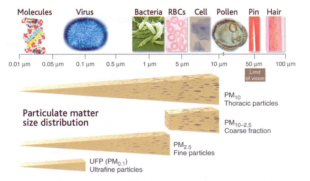 Science 307:1857-1861,