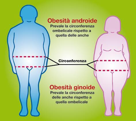 OBESITÀ L obesità di tipo androide (che predilige gli uomini) si caratterizza per il grasso localizzato prevalentemente in sede addominale e