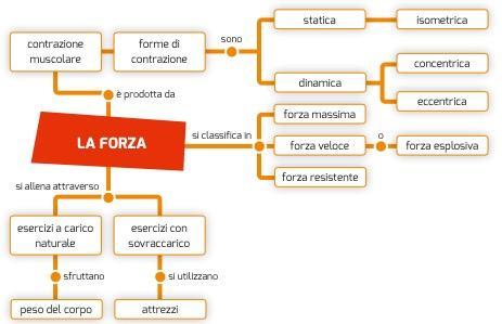 Schema