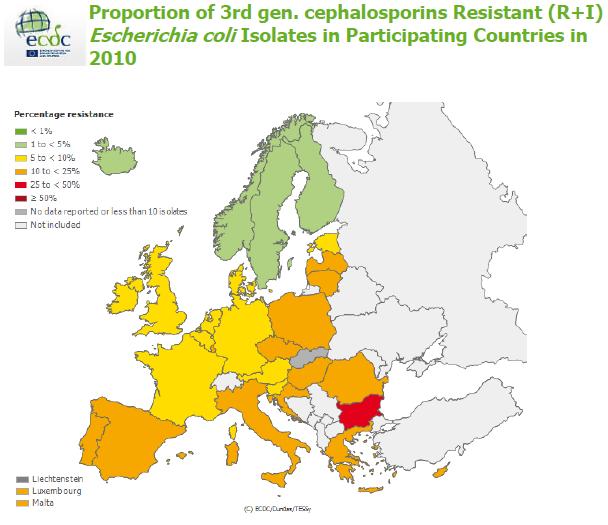 E. coli resistente a C3G E.