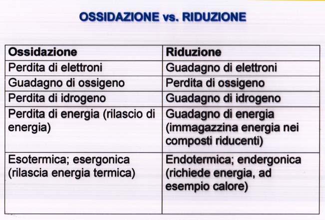 Seminario Equivalente riducente In Biochimica, il termine equivalente riducente si riferisce a qualsiasi specie chimica che trasferisce l equivalente di un elettrone nelle reazioni redox.