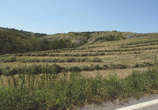 La collina bolognese (sulla quale insistono quattordici dichiarazioni di notevole interesse pubblico) è un territorio di grande valore ambientale e paesaggistico, storicamente disegnato dall