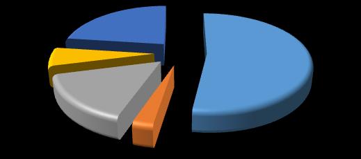 15 FAMIGLIE RESIDENTI NEL RIONE CARMINE AL 31/12/2017 PER TIPOLOGIA FAMILIARE: ITALIANE E STRANIERE SOLI 67% COPPIA CON 10% MONOGENI TORE CON 9% COPPIA SOLA 7% ALTRA 7% ALTRA 21% SOLI 60% COPPIA CON