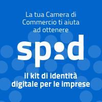 Cos è SPID SPID, Sistema Pubblico di Identità Digitale, è il sistema di autenticazione che permette a cittadini e imprese di accedere in modalità sicura e garantita ai servizi online della Pubblica