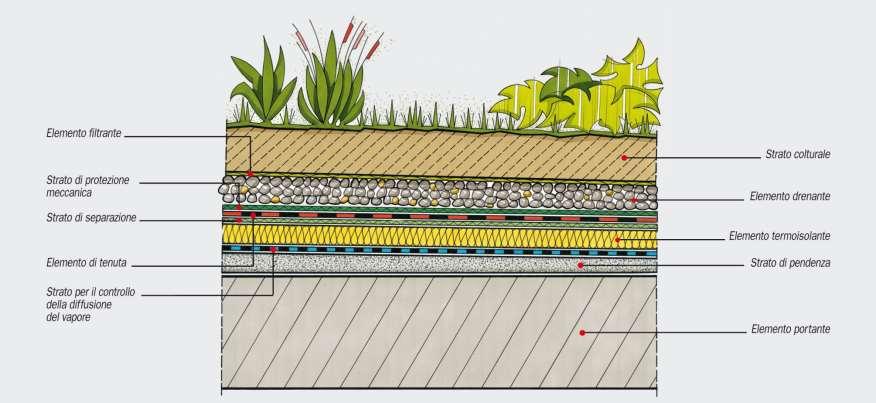 Le coperture a verde 5 Coperture con elemento