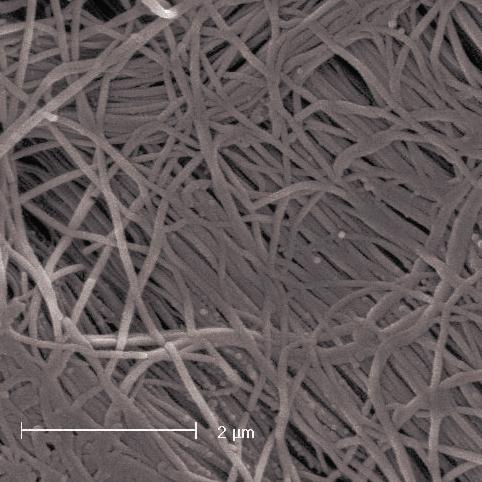 Il pericardio è costituito da reti compla-nari pluristratificate.