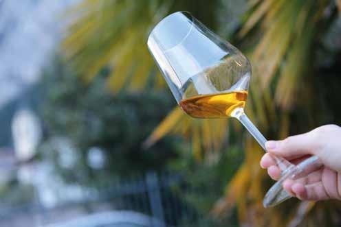 DiVinNosiola celebra il Vino Nosiola Trentino, il Trentino DOC Vino Santo, le grappe di Nosiola e di vinaccia di Trentino DOC Vino Santo, eccellenze che nascono dalle competenze tramandate da padre